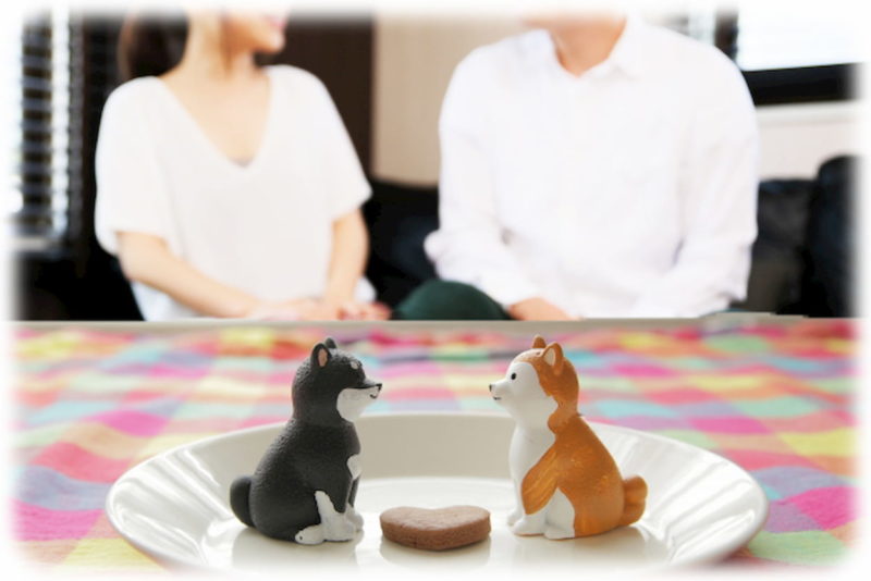 プロポーズ サプライズ 自宅
