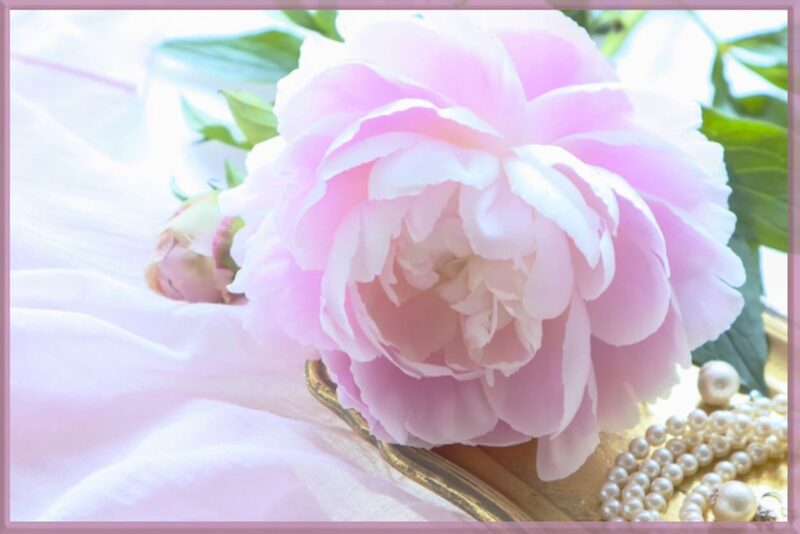 結婚式 装花 春